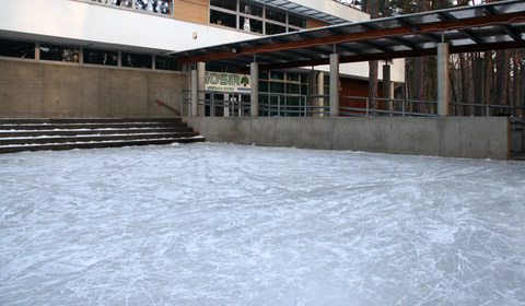 FPSS slide image